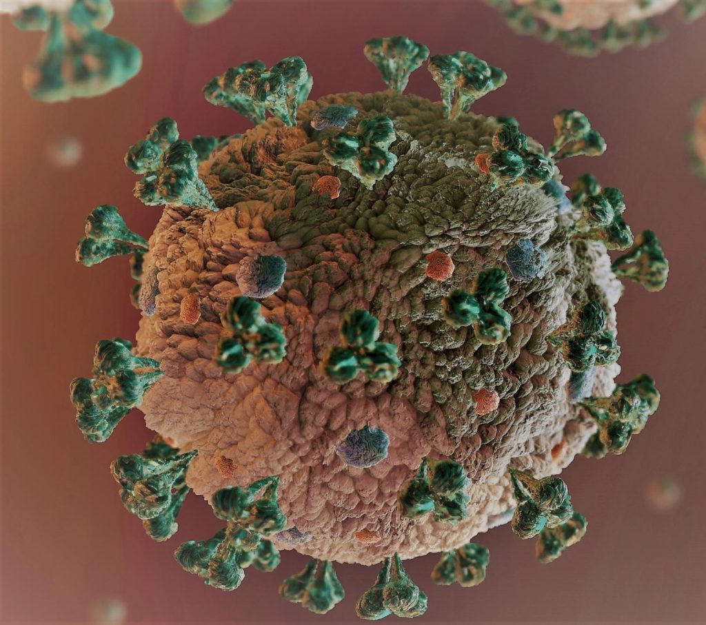 NUEVOCORONAVIRUS